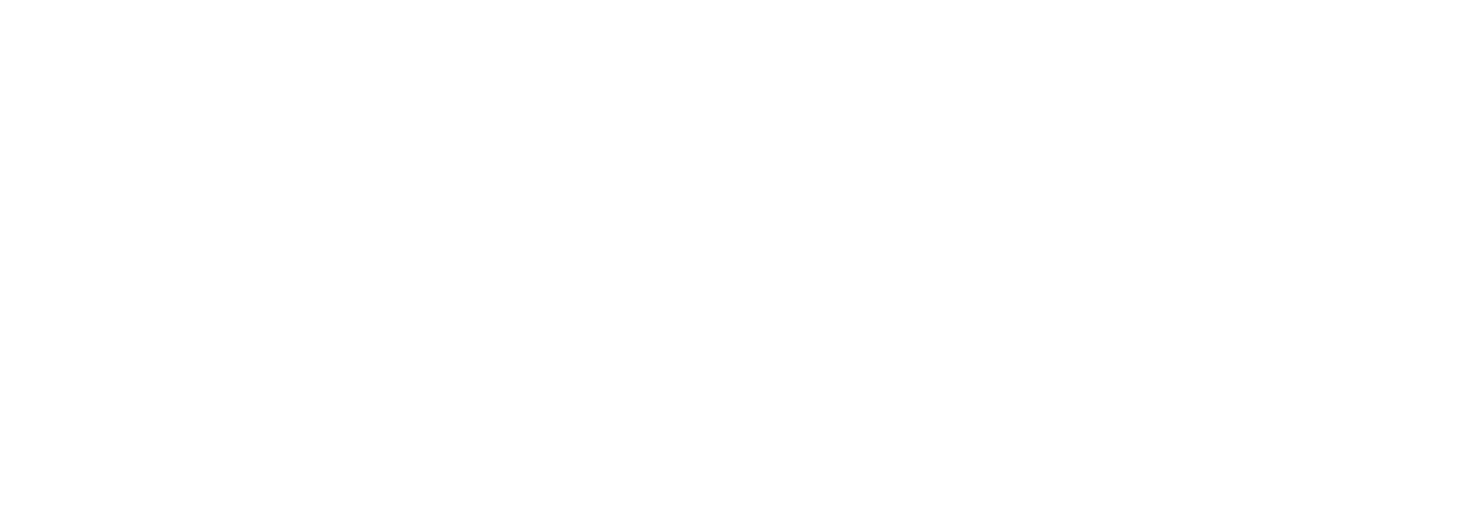 Code Next Logo