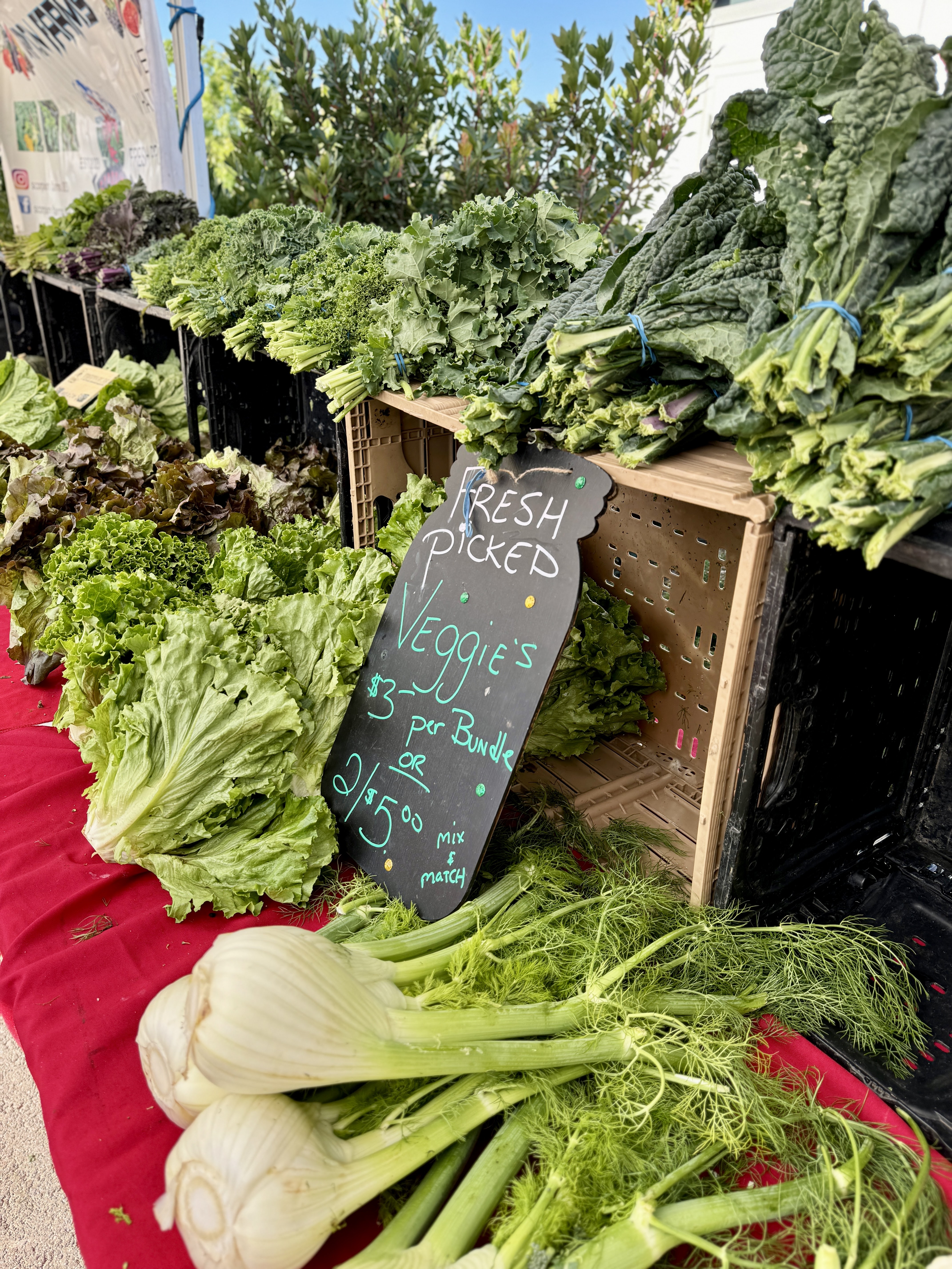 Farmers Market Image 4